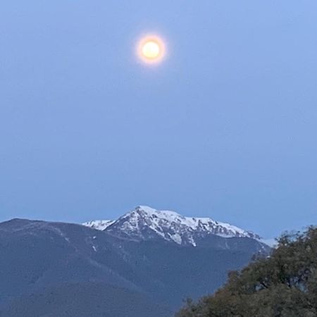 No.43 Daire Mount Beauty Dış mekan fotoğraf